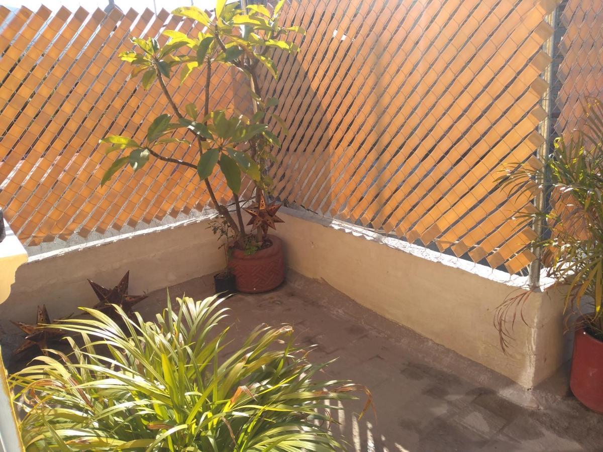 فيلا Casa Alebrijes تيكيلا المظهر الخارجي الصورة