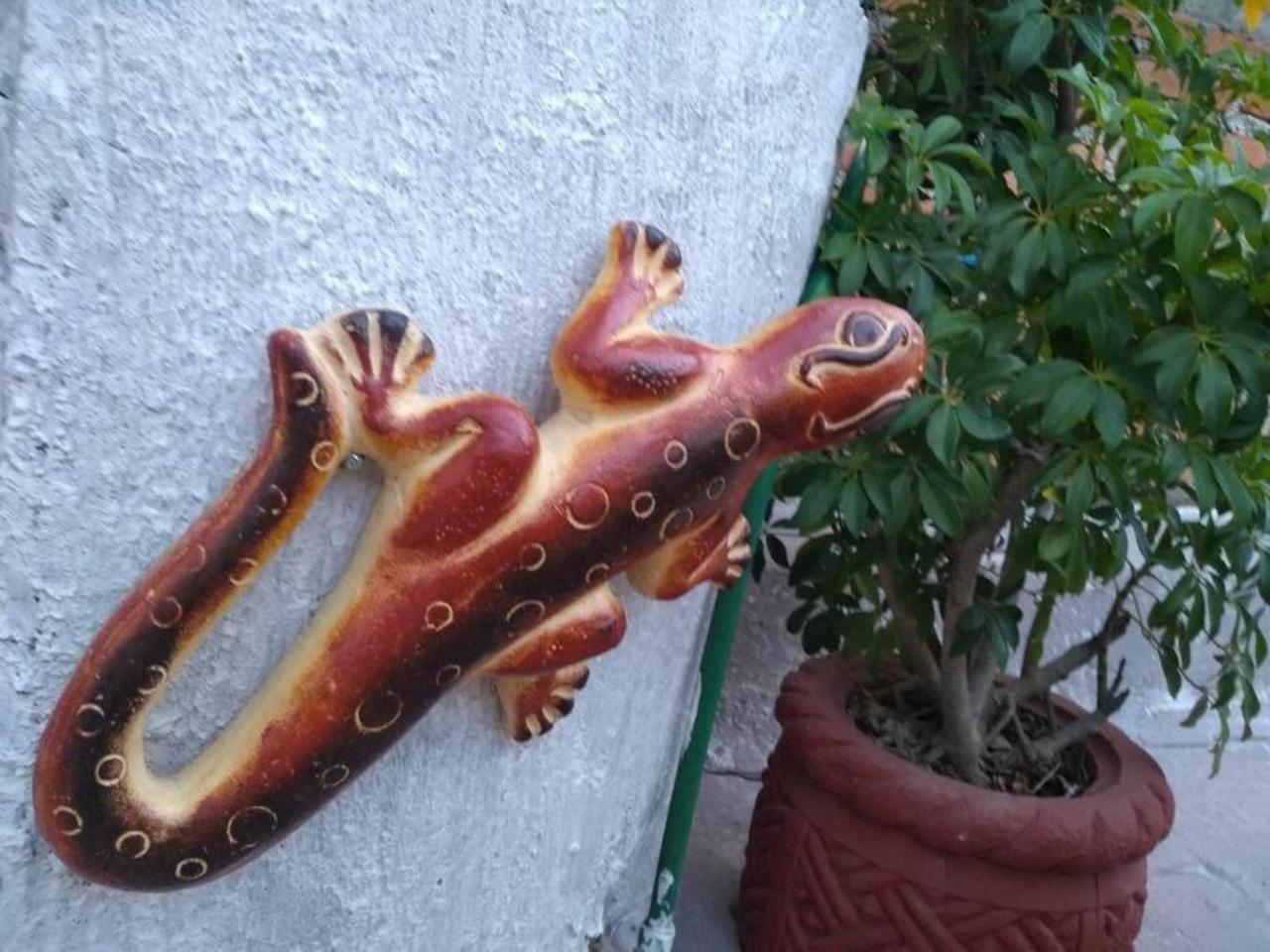 فيلا Casa Alebrijes تيكيلا المظهر الخارجي الصورة